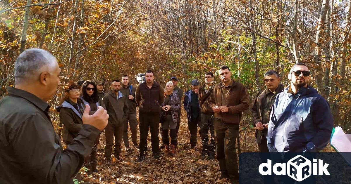 Близо 30 експерти от ИАГ, РДГ, СИДП, ЮИДП и териториалните