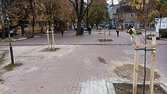Община Кюстендил стартира кампания поозеленяване Общият брой дървета които ще бъдат