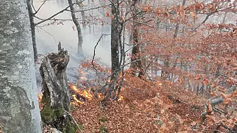 230 вече гасят пожара на връх Вейката
