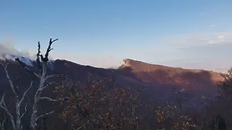 Локализиран е пожарът на връх Вейката