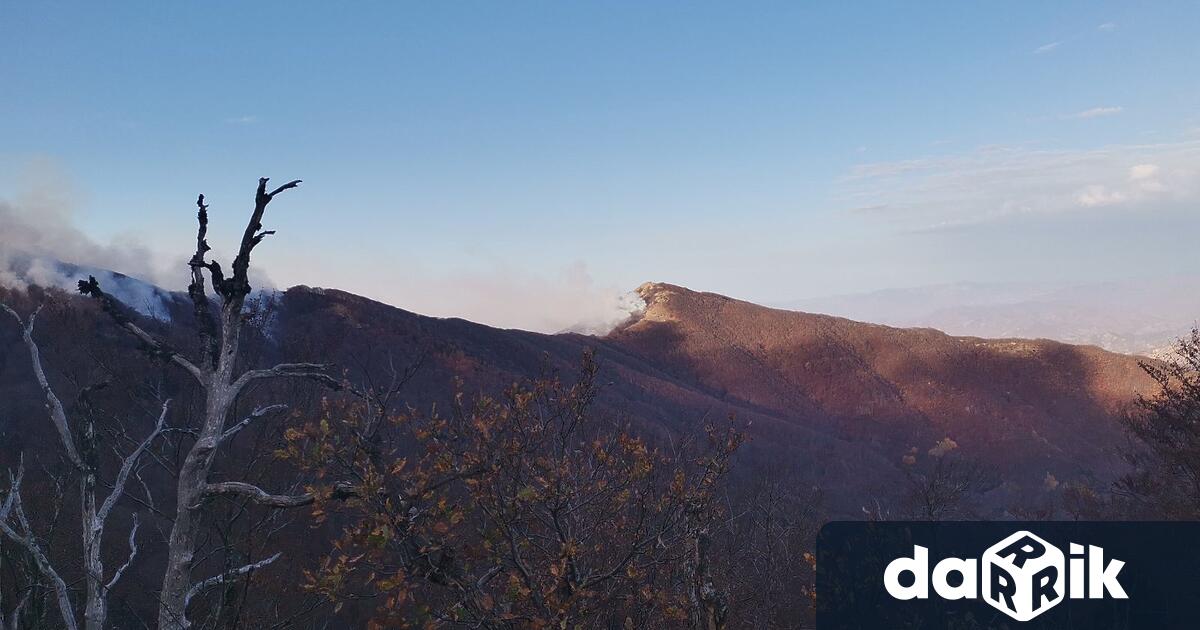 311 души работят на терен днес на връх Вейката в