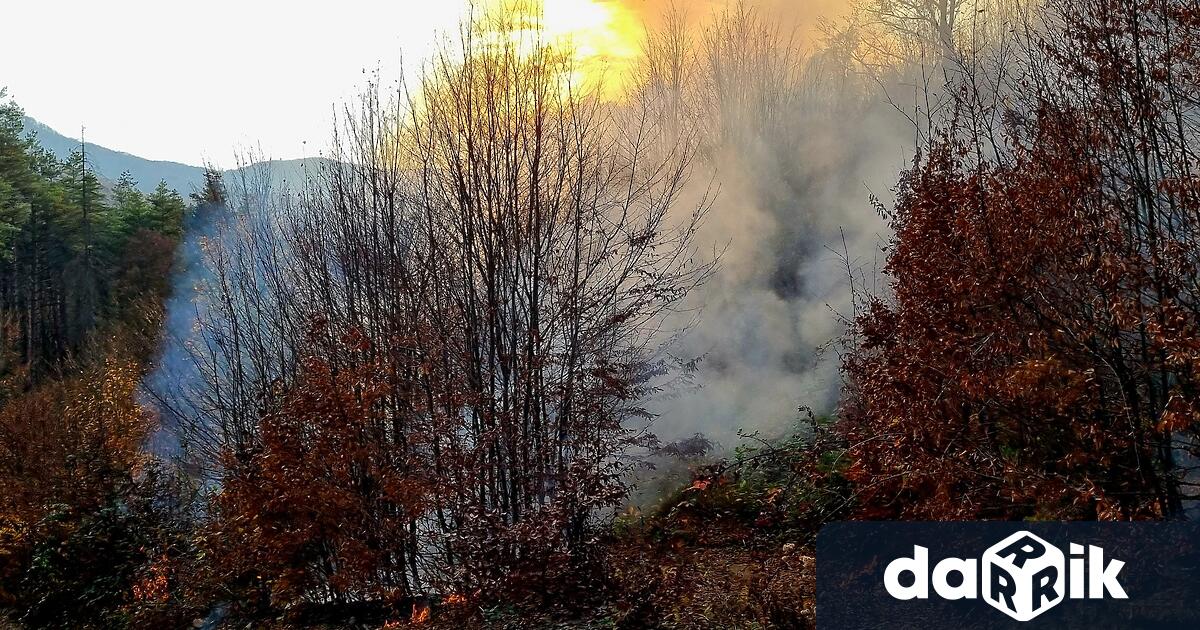 Пожарът на военния полигон Ново село е овладян и се
