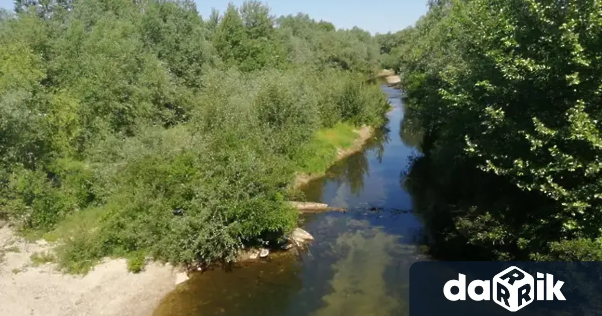 Почистването на речните корите трябва да започне в спешен порядък,