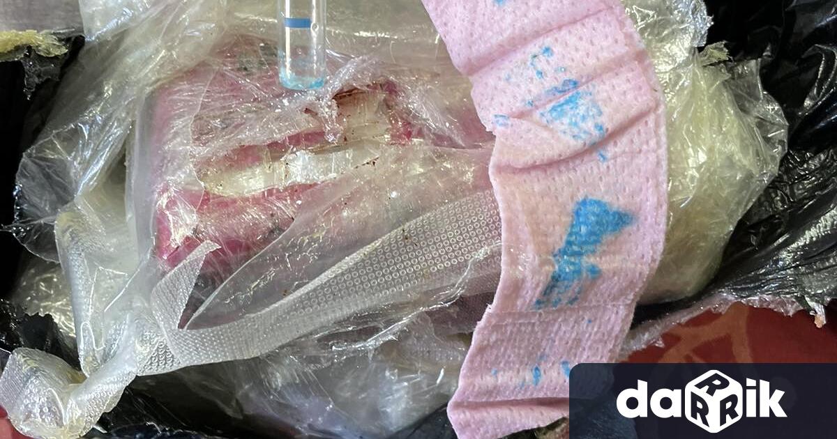 Митнически служители от отдел Борба с наркотрафика“ в ТД Митница