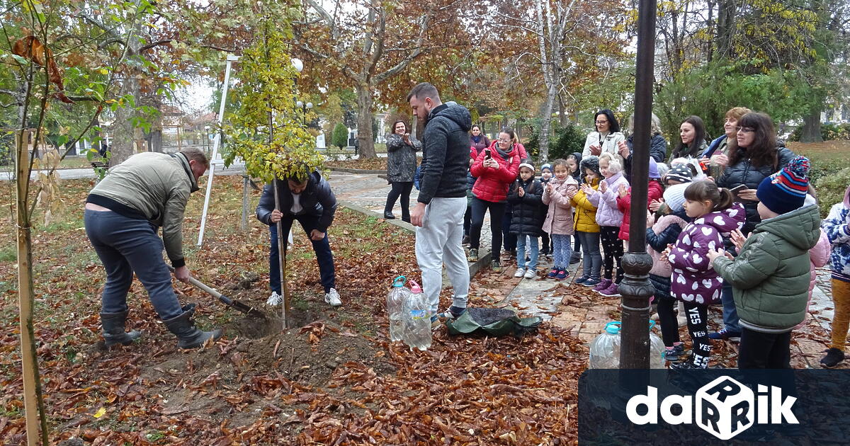 На 14-ти ноемвридеца, учители, родители, кметътна общината Любка Александрова и