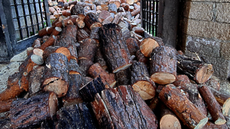 В последните 3 месеца се наблюдава рекорден добив на дърва