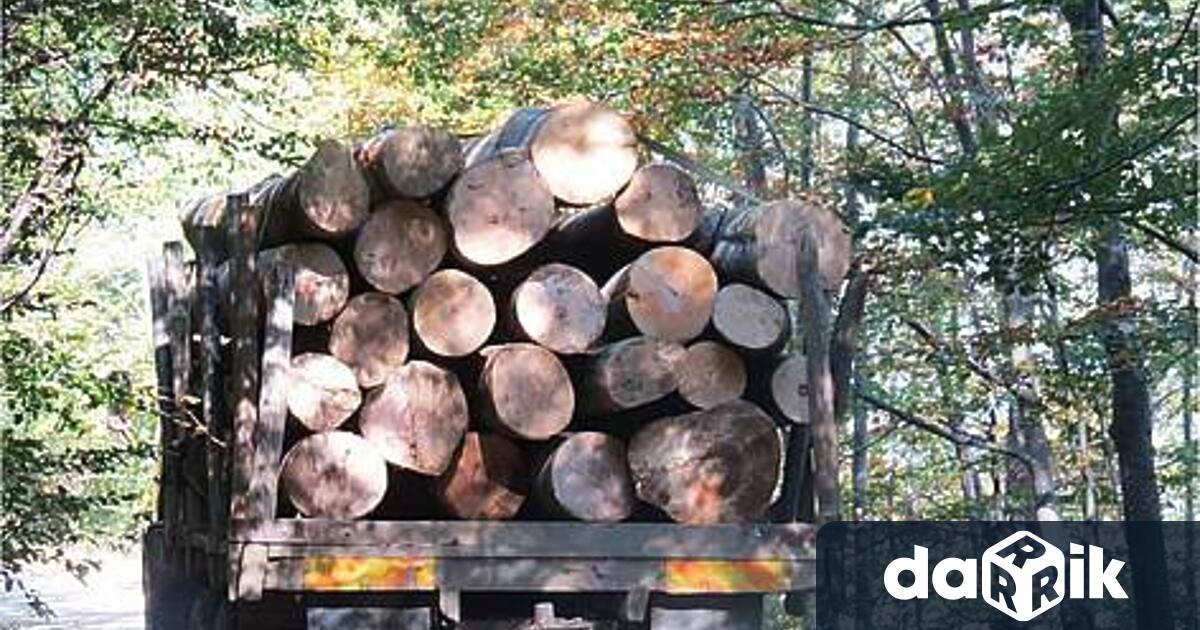 На 11 ноември, около 14.30 часа в района на с.