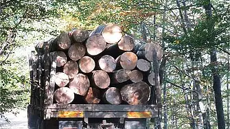 Установиха товарен камион с незаконна дървесина