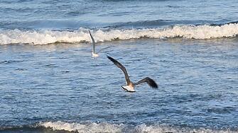 На 16 ноември се отбелязва Международният ден на толерантността През