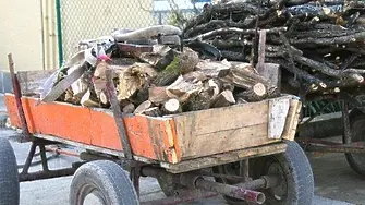 Намериха незаконни дърва в два имота на Видин