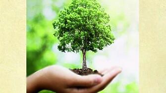 Кампания Посади дърво – остави отпечатък в бъдещето организират от