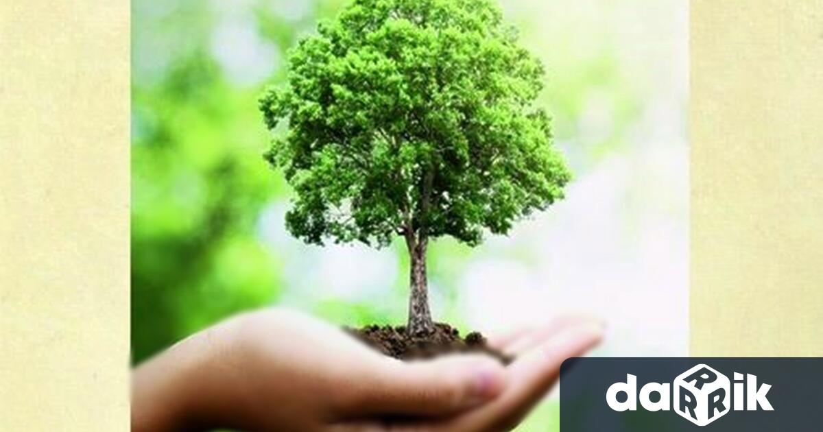 Кампания Посади дърво – остави отпечатък в бъдещето“ организират от