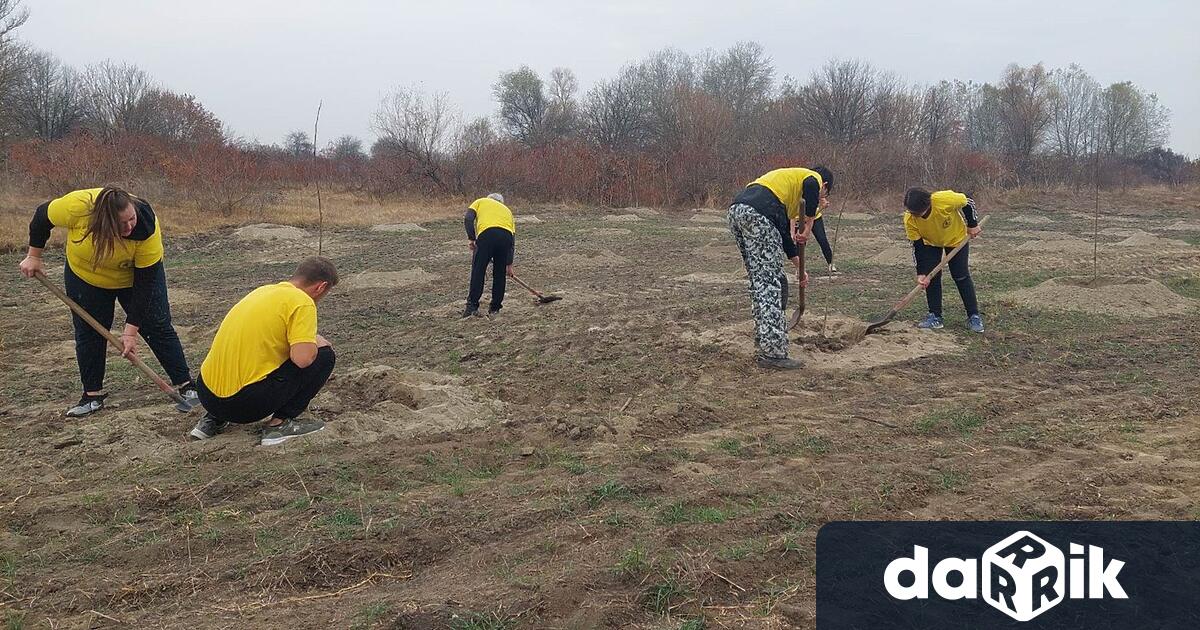 Гора върхутерен от 4.624 дка мочурище засадиха студенти от Аграрния