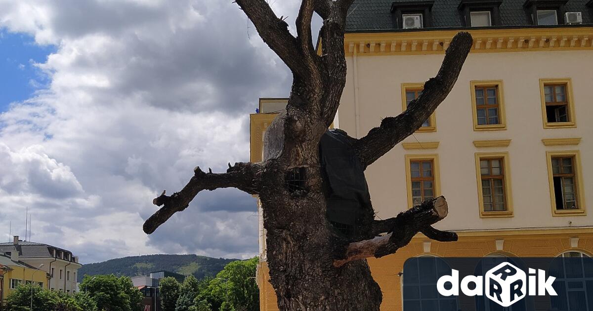 Неизменният ход на Времето ни лишава от скъпи достояния на