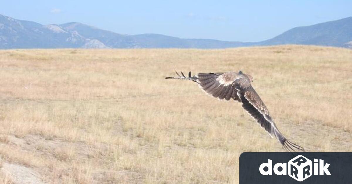 С прекрасна новина ни зарадваха от екипа на “Зелени Балкани