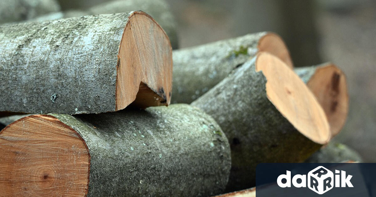 Временна комисия в парламента ще разгледа въпросите с недостига и