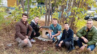 Къщички за бездомни животни поставят в Пловдив от местната гражданска