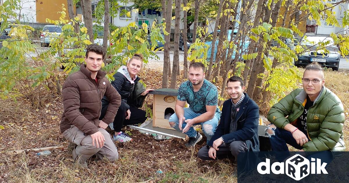 Къщички за бездомни животни поставят в Пловдив от местната гражданска