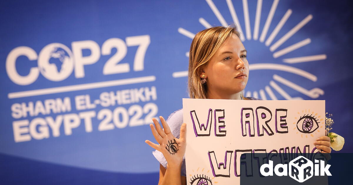 На Световната среща на върха за климата (COP27) вЕгипетсутринта в