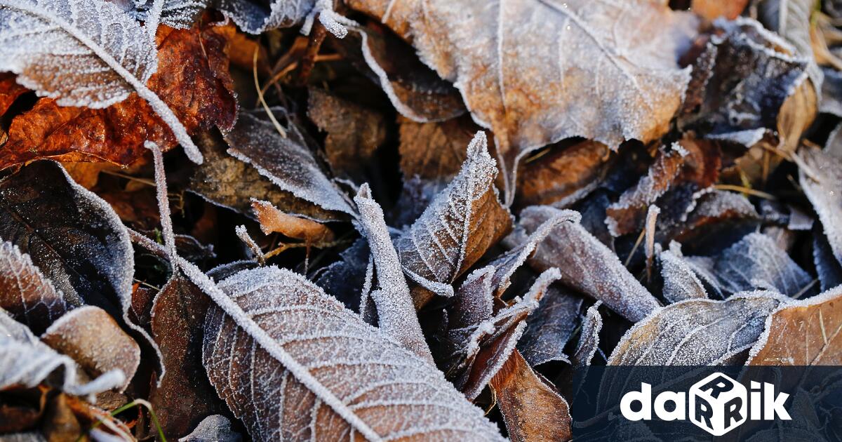 В четвъртък преди обяд в северозападните райони, а до края