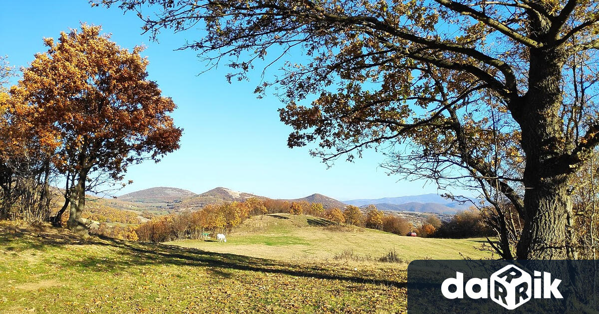 Полицаи от РУ в Момчилград са установили извършител на кражба,