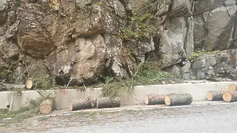 Паднали дървета и камъни по пътищата в Смолянско след среднощната буря в региона