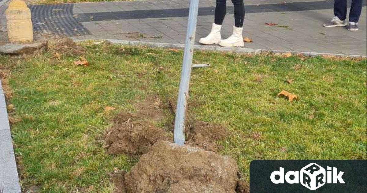 Водач на автомобил по бул. Хаджи Димитър“, в центъра на