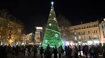 Коледното дърво пред община Пловдив грейва на 1 декември
