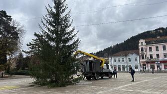 Коледната елха е поставена вече на площад Велбъжд Тяе висока 12