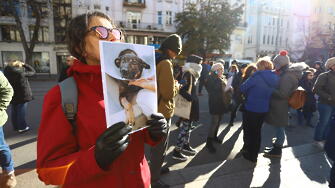 Демонстрати протестират срещу насилника на кучето Мечо