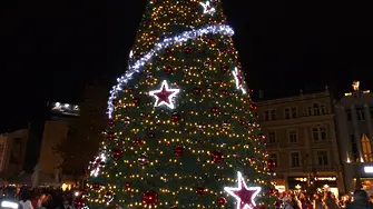 Грейва коледното дърво в центъра на Пловдив