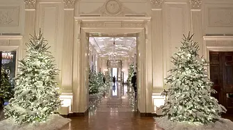 Традиции и концепция за единство: Коледните украси на „Даунинг стрийт“ и на Белия дом