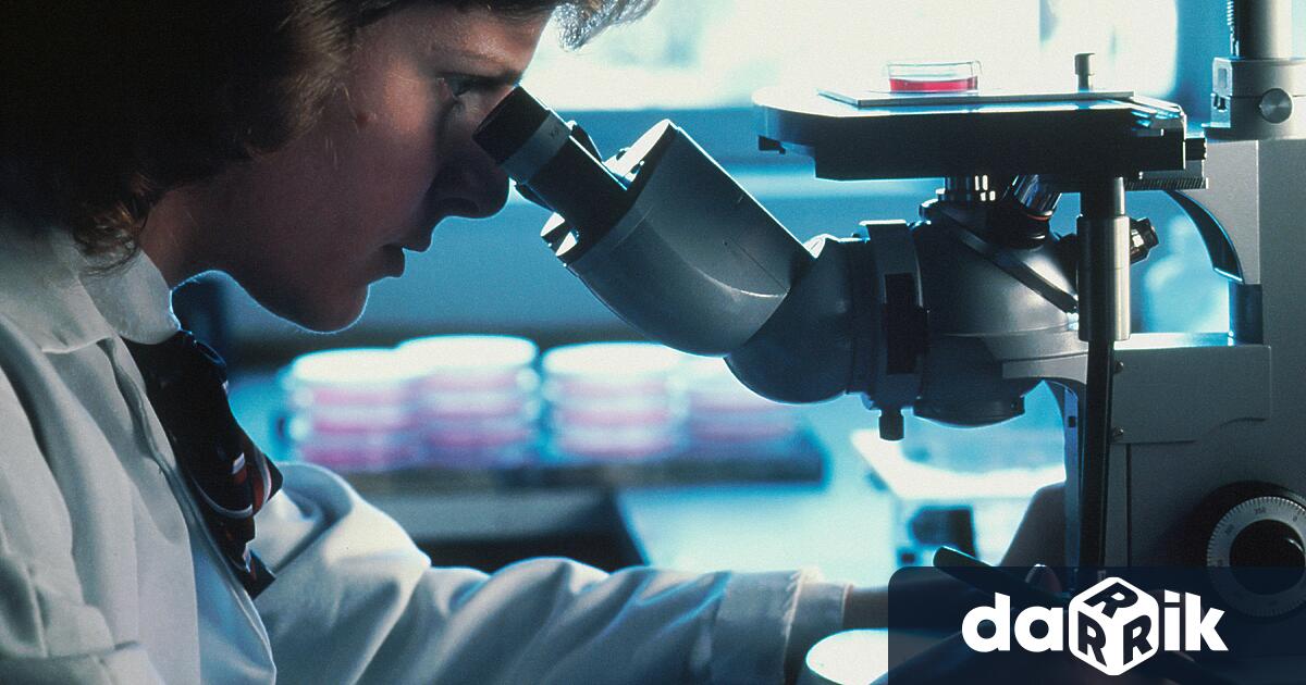 Първото лекарство, което забавя разрушаването на мозъка при Алцхаймер, бе