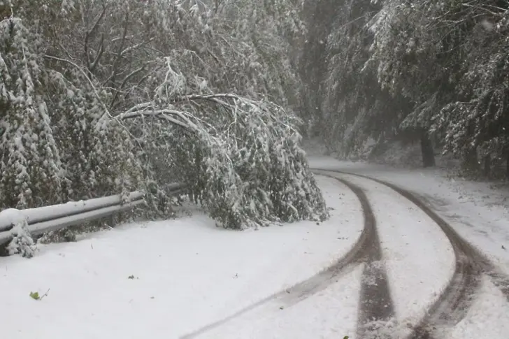 Първи сняг падна в планинската част на Сливенско