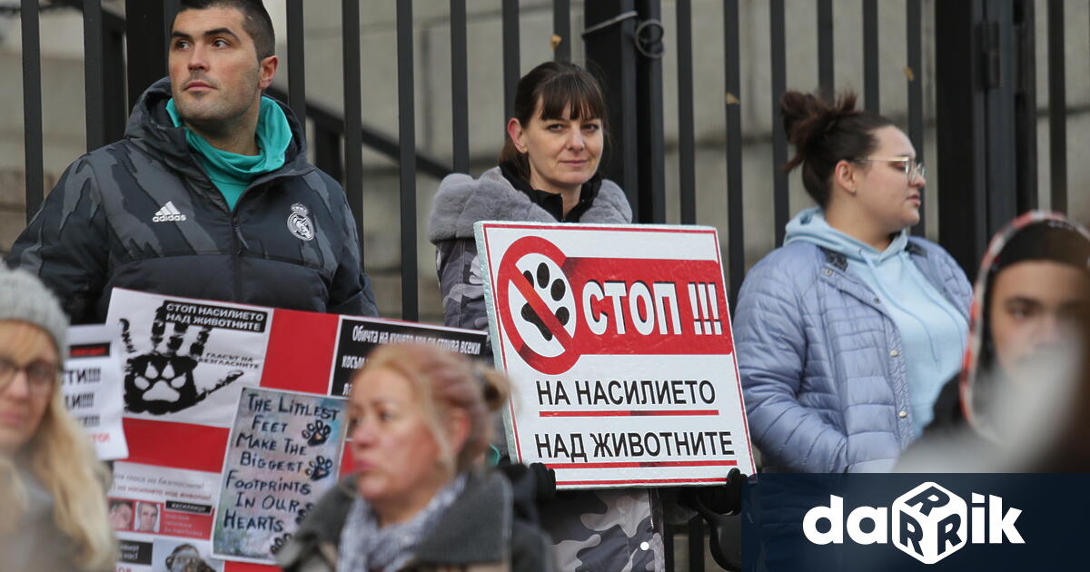 Столичани се събраха на протест пред Съдебната палата скандирайки с