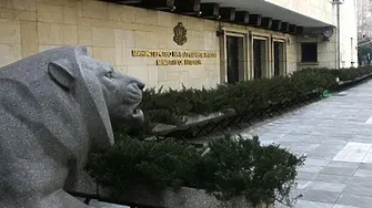 МВР Пловдив със засилени проверки за студентския празник
