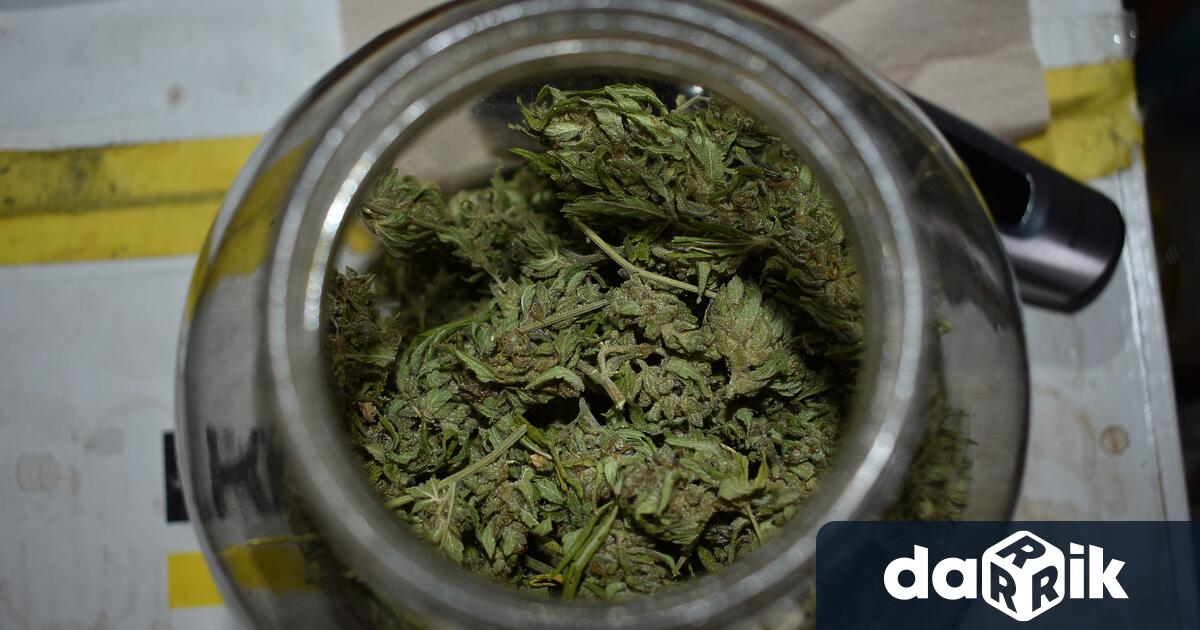 Притежание на наркотици и двама са задържани при операция на