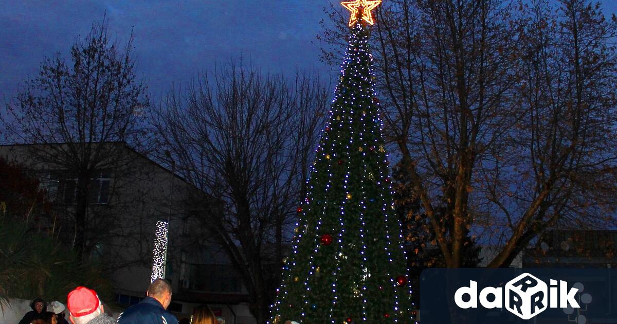 Коледната елха в Свиленград ще грейне празнично пред сградата на