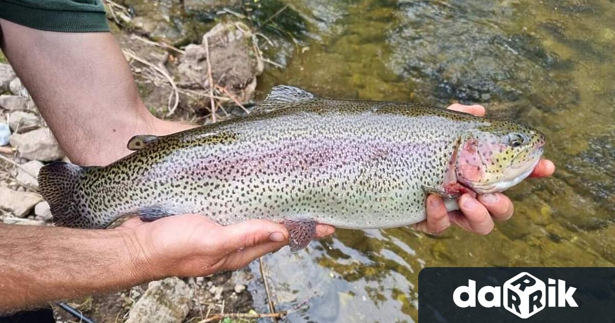 Девин и Пловдив сще бъде домакин на световни първенства по