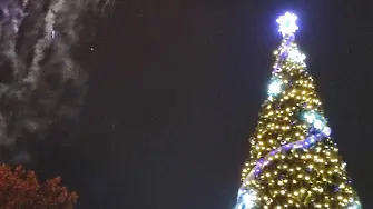 Коледната елха в „Източен“ грейна с 3000 лампички