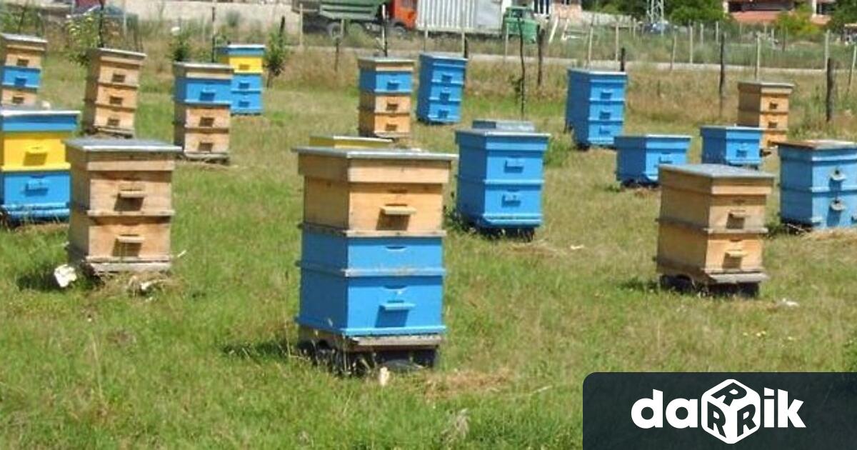 Кражба на над 90 пчелни кошера са разкрили полицаи от