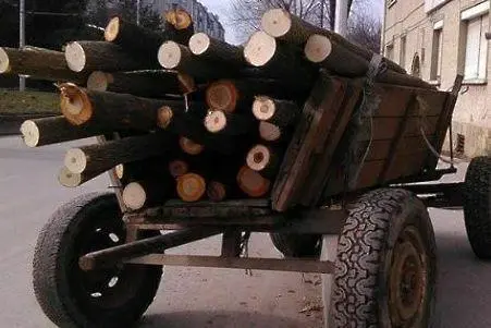 25-годишен жител на ломско село е санкциониран за превоз на незаконни дърва