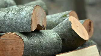 Експерт: Проблемът с дървата за огрев е традицията хората снабдяват, чак когато стане студено 