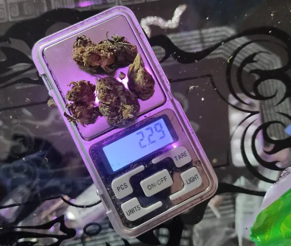 21 задържани в акция "Бяло" в Бургас