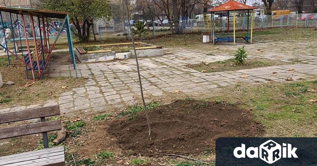 Две залесителни акции се проведохав район Северен“.Служители на районната администрация