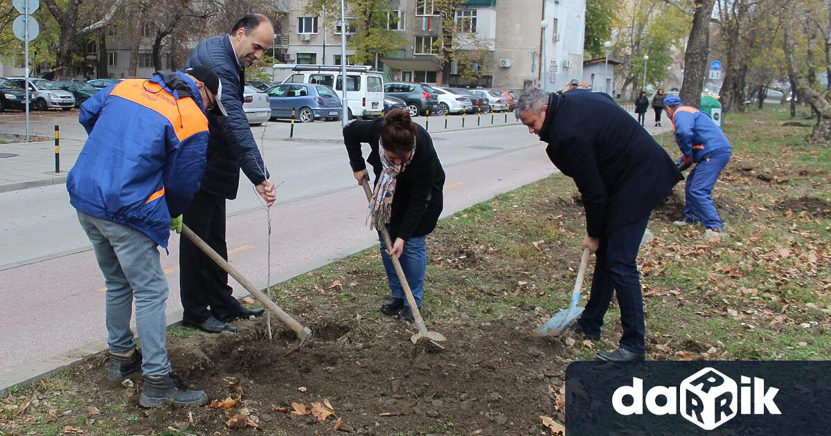 Даден бе старт на есенната залесителна кампания 2022 в район