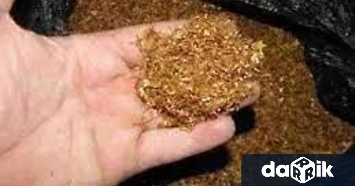 Полицията намери 350 грама незаконен тютюн в мазето на 67-годишна