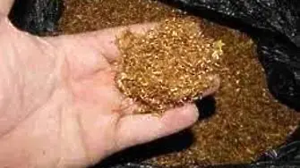 Полицията намери 350 грама незаконен тютюн в мазето на жена от Мизия