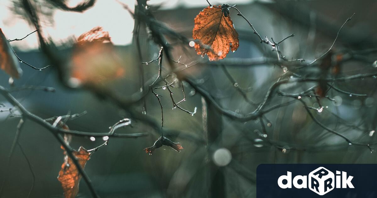 Събота и неделя ще бъдат топли. По-топли от обичайното за