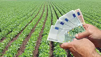 Отпускат се 250 млн. евро по Плана за земеделските производители